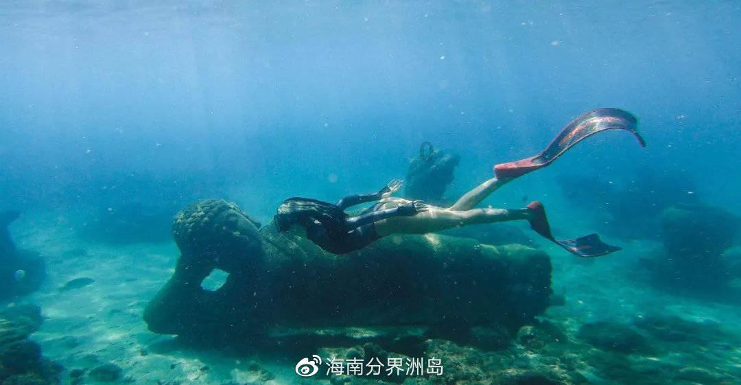 蜂王救援